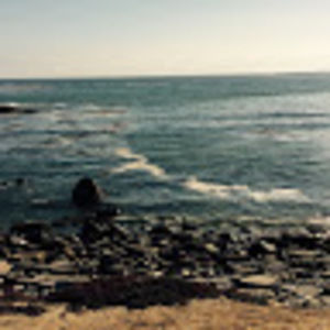 Meet your Posher, Alanna